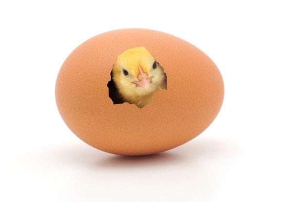 Time to Break Eggshells