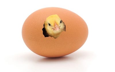 Time to Break Eggshells