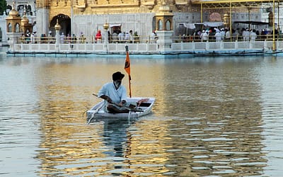 Do You Know How the Golden Temple Sarovar is Kept Clean and Clear?